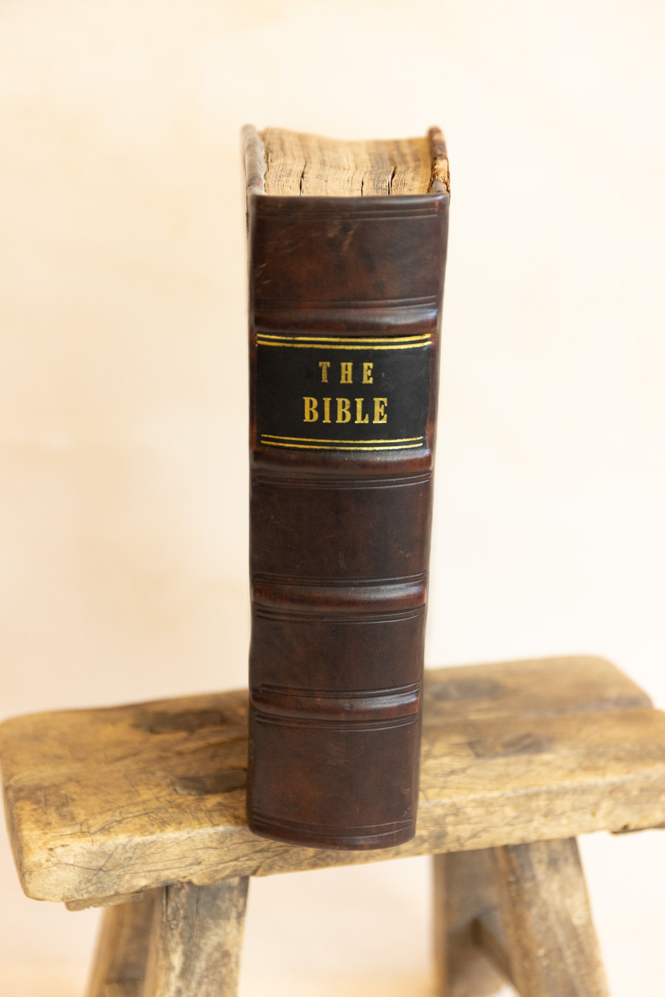 Geneva Bible 1599